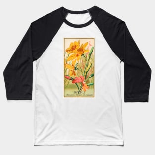 Daffodils (Narcissis Pseudo-Narcissus) Baseball T-Shirt